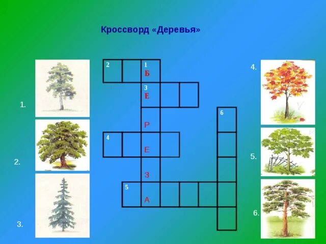 Тест кустики 4 класс с ответами. Кроссворд деревья. Кроссворд про деревья для детей. Кроссворд на тему деревья. Сканворд деревья.