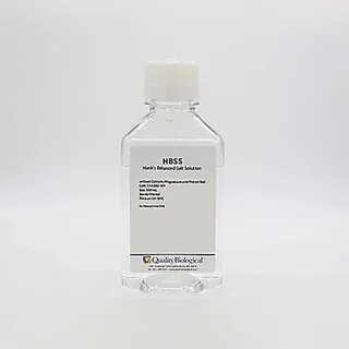Ph 8