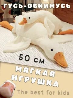 Гусь обнимусь большой