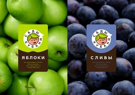 Ешь фрукт ростов