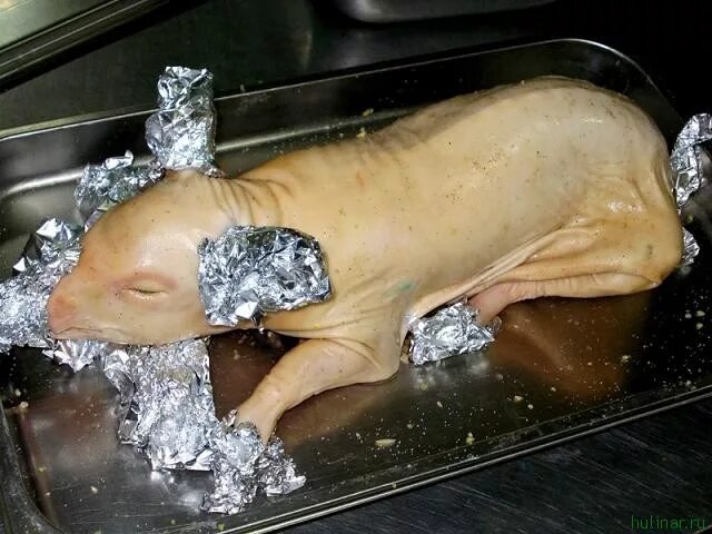 Как приготовить Молочный поросенок в винном маринаде - рецепт с фото Рецепт Кули