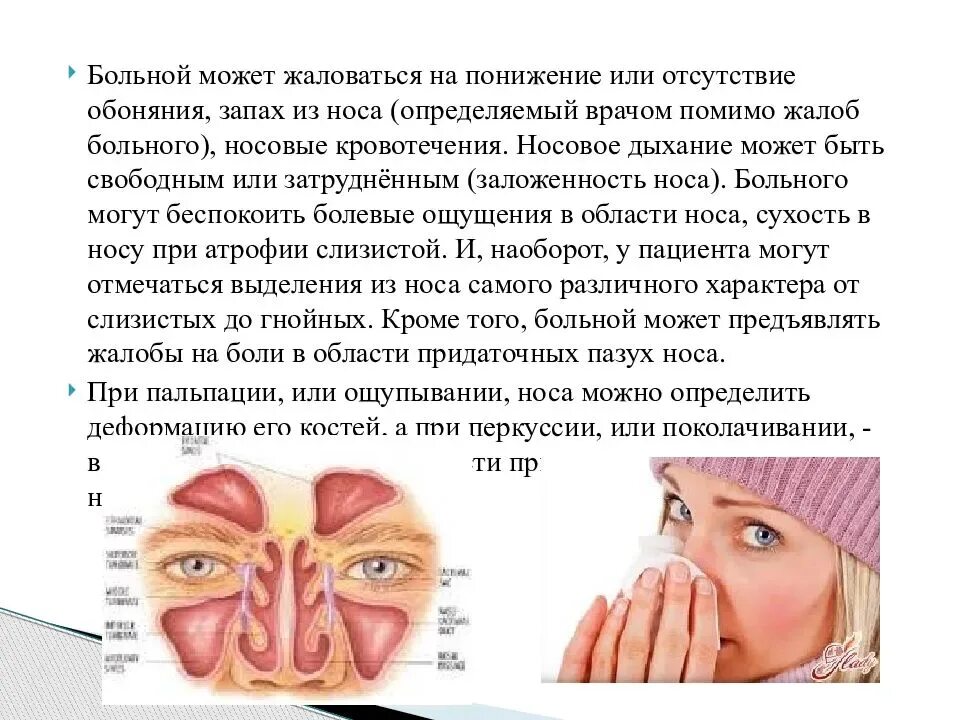 Заложенность носа и запах. Пропало обоняние при насморке. Отек в носу пропало обоняние. Потеря обоняния при простуде без насморка. Пропадает ли обоняние при насморке.