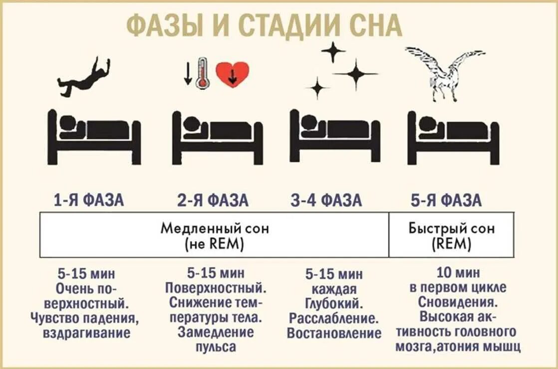 Глубокий сон в какой время