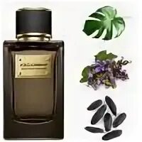 Patchouli 1.16 4 53.3. Dolce &amp; gabbana velvet black patchouli. дольче габбана вельвет patchouli. dolce gabbana velvet patchouli. dolce gabbana velvet mimosa bloom.