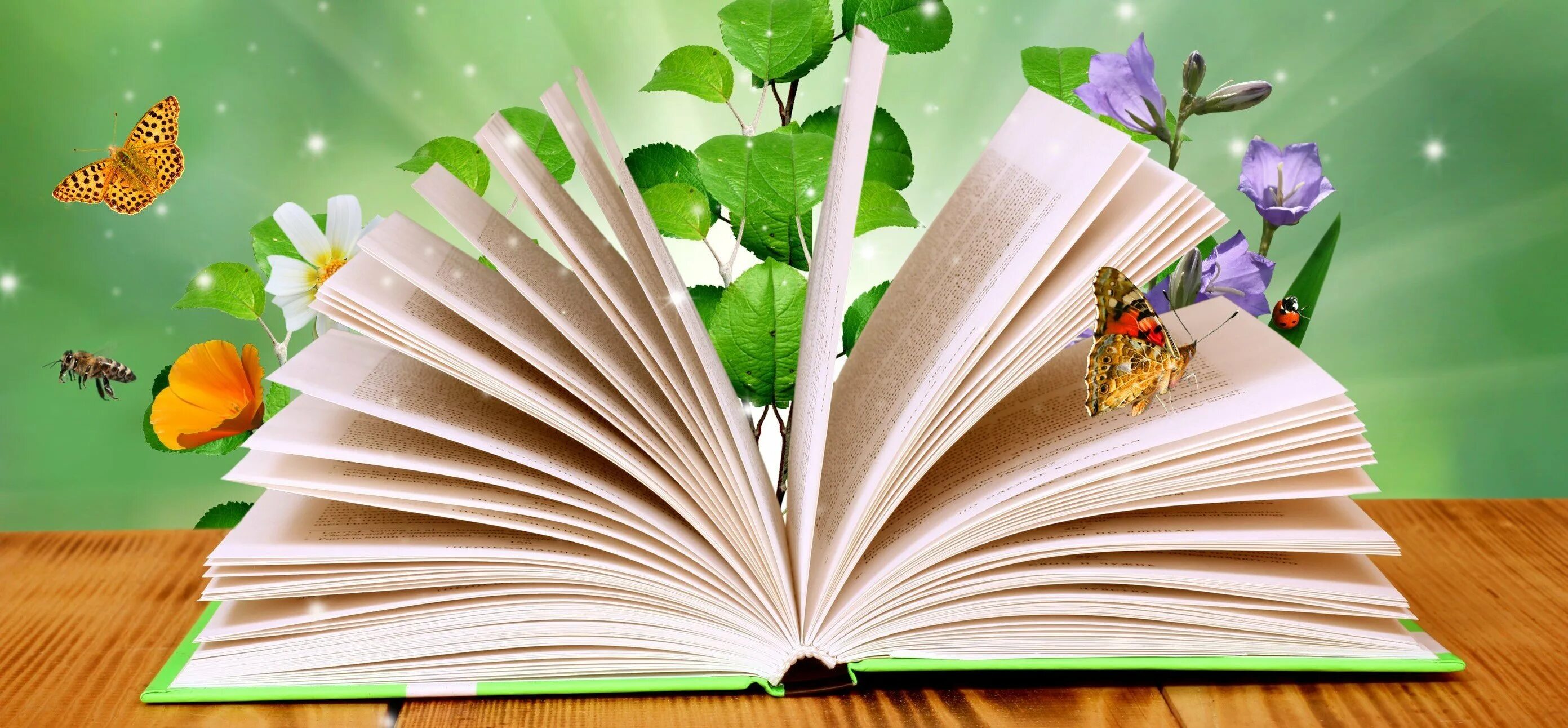 Фон для школьного баннера. Фон для детской библиотеки. Книжка картинка для детей. Фон книги для детей. Фон для детской библиотеки.