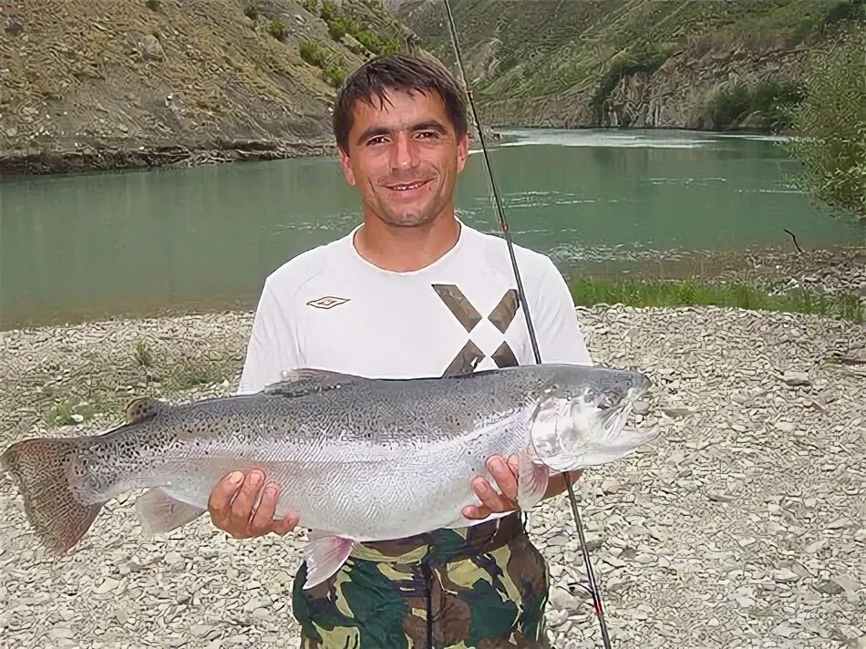 Рыбалка в махачкале на море. Река сулак рыбалка. Охотничье рыболовное хозяйство. Рыбалка в махачкале. Рыбалка на каспии астрахань.