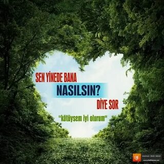 Sen nasilsin