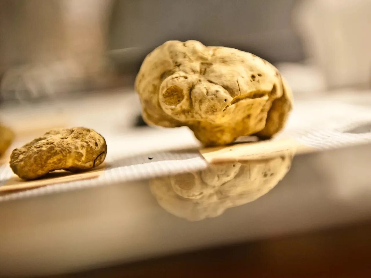 Трюфель мясной фото. Евгений онегин трюфели. Трюфли роскошь юных лет. Трюфли роскошь юных лет. Белый пьемонтский трюфель.