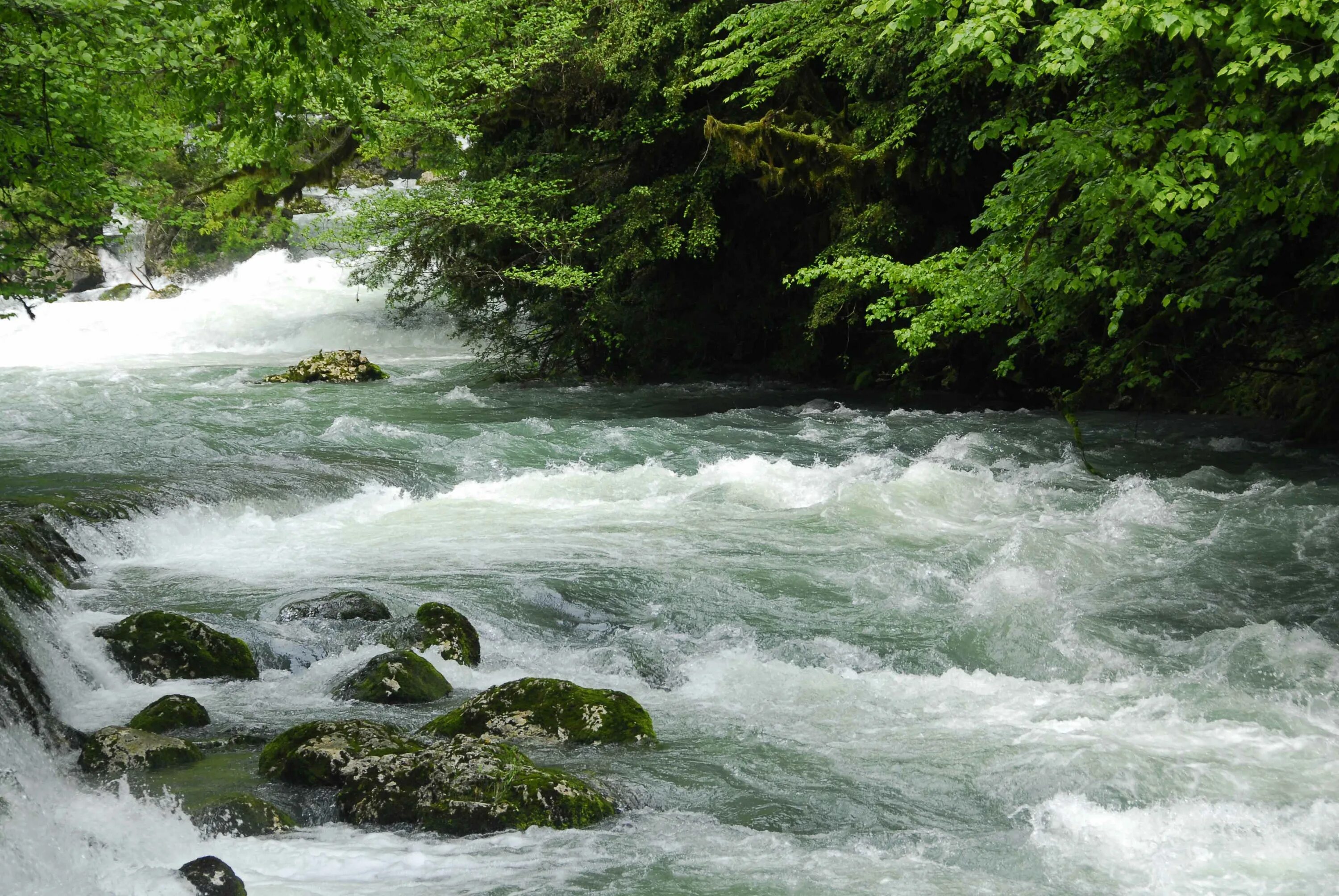 Горный край вода. Река Кубань в Адыгее. Река Убин Краснодарский край. Реки Кавказа Кубань. Горные реки Краснодарского края.