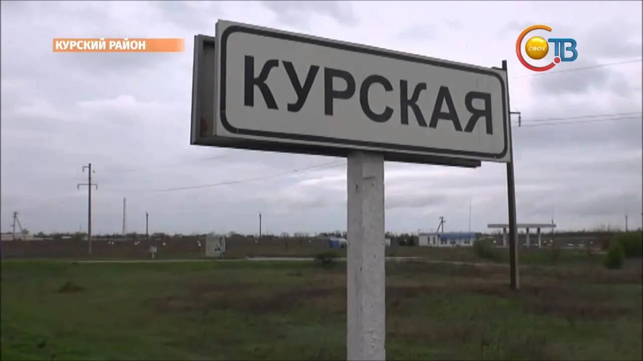 Погода в курске ставропольский край. Ст Курская Ставропольский край. Станица Курская Курский район. Ставропольский край, Курский район, ст. Курская. Курский район Ставропольский край.