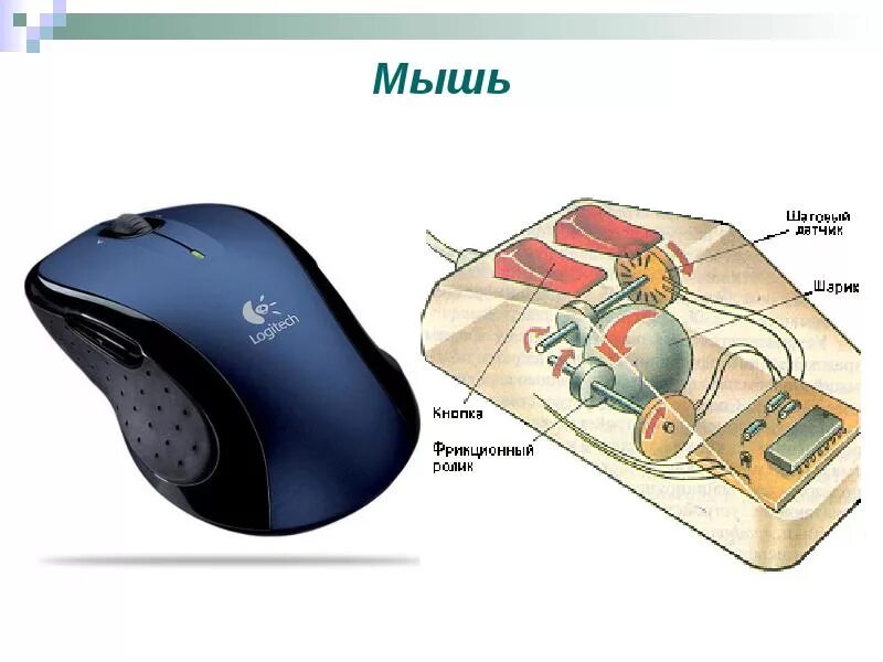 Создание мыши. История компьютерной мыши. Появление компьютерной мыши. Компьютерная мышь описание. История создания компьютерной мыши.