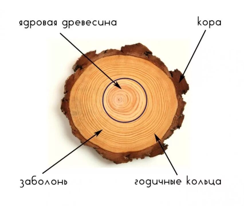 Go срезы