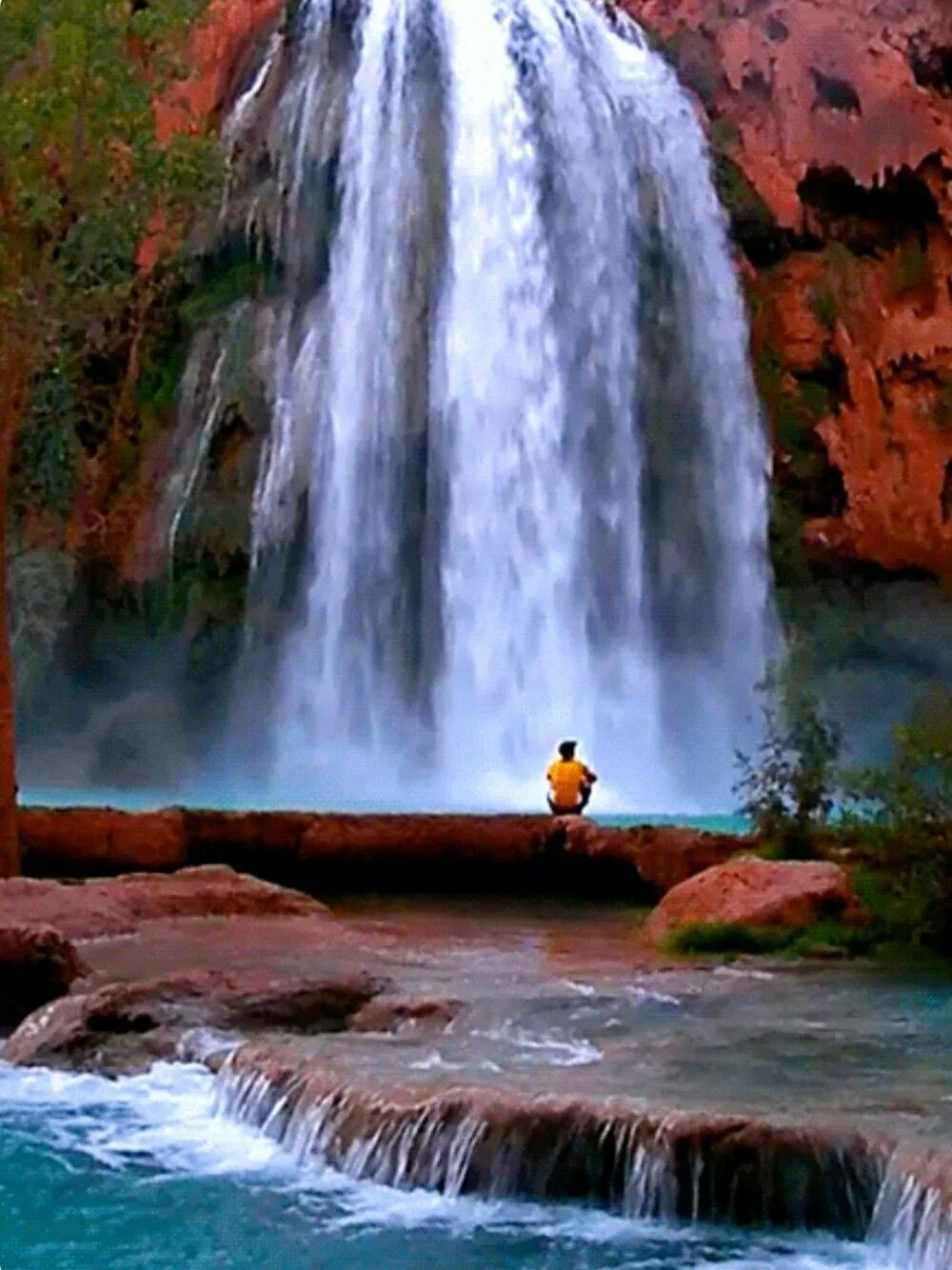 Водопад Чхонджиён. Живые водопады. Живая природа водопады. Красивые водопады.