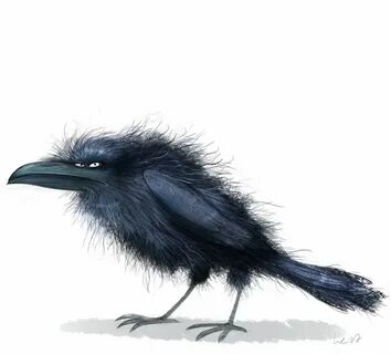 Картинки смешных ворон