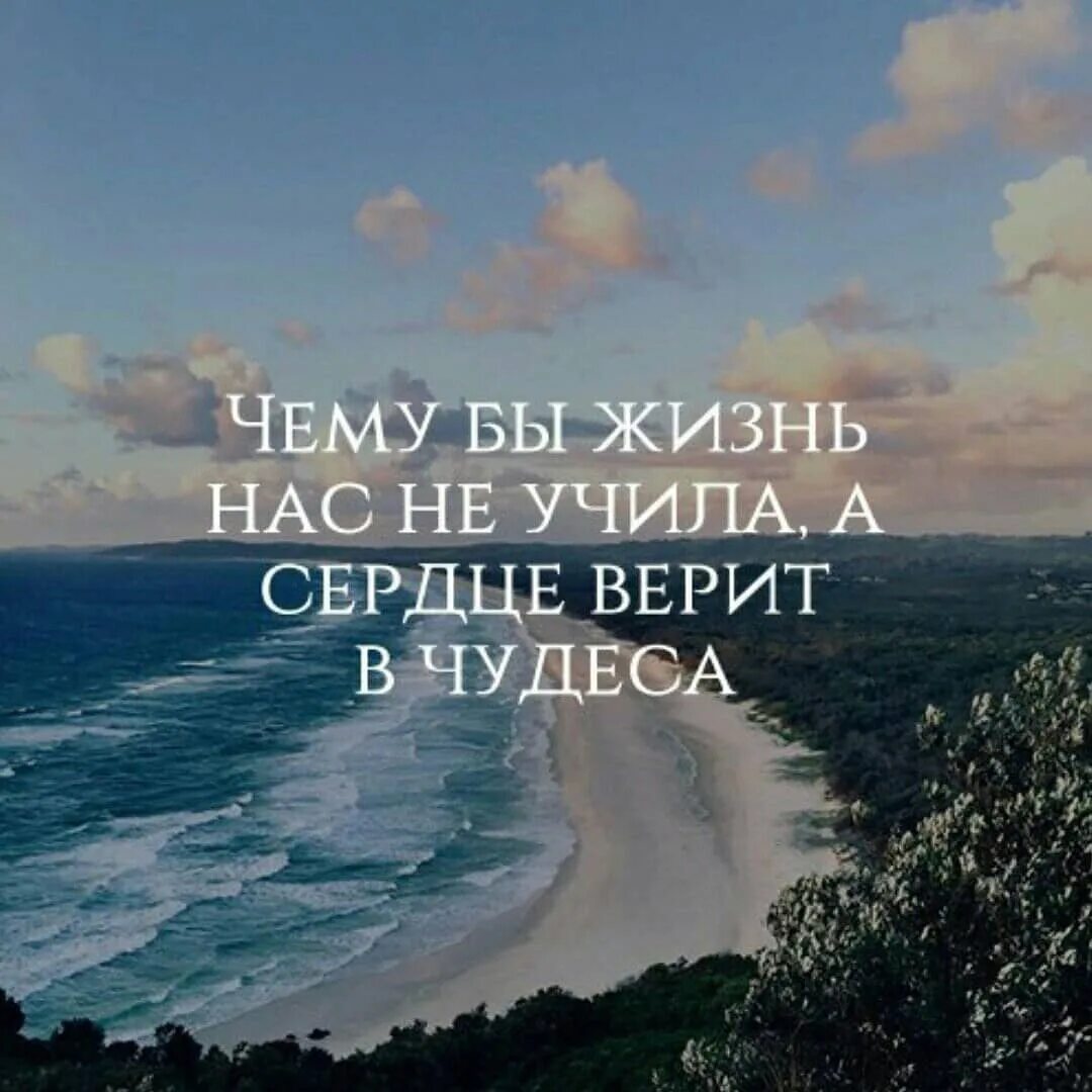 Такую бы жизнь каждому