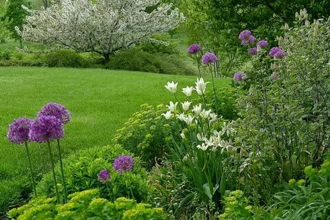 Garden look