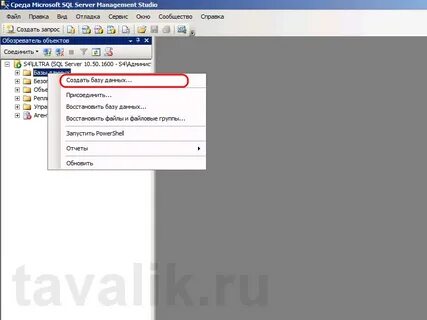 Разработка баз данных sql работа