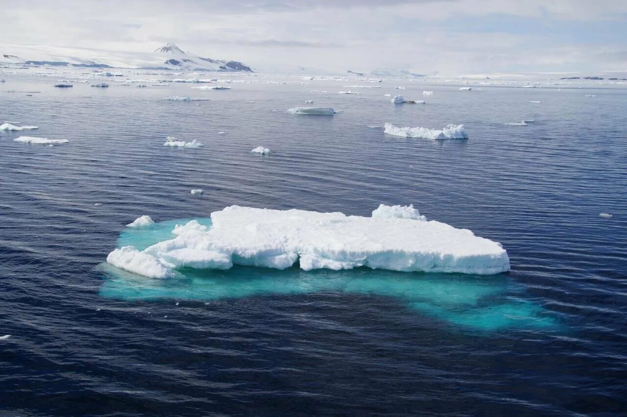 Южный океан г. Море Уэдделла. Море Уэдделла в Антарктиде. Море Уэдделла моря Южного океана. Море Уэдделла Южный океан.