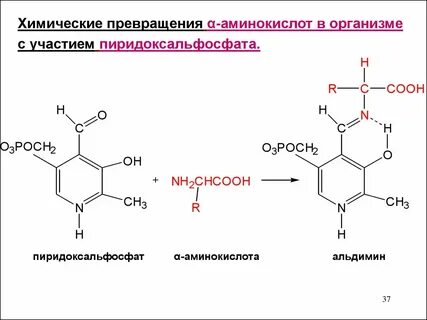 Хим превращение