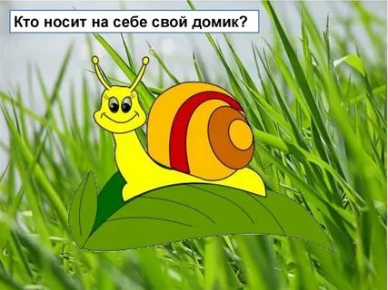 Домики которые построила природа 2 класс презентация