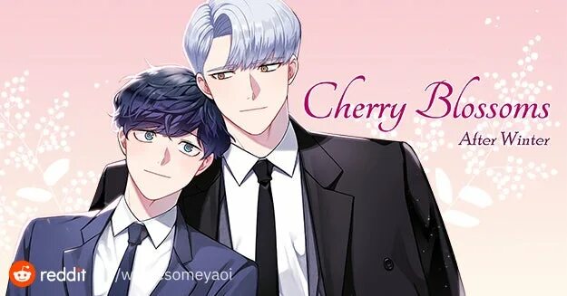 Cherry Blossoms after Winter. Cherry after Blossom. Cherry Blossoms after Winter dorama. Cherry Blossoms after Winter Эдит. Blossoms after winter