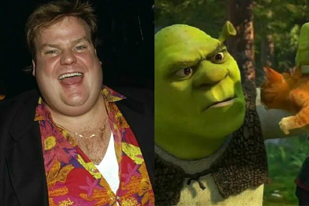 Кто озвучивает крестную в шреке. 2. Шрек крис. Осел шрек актер. Майк майерс озвучивает шрека.