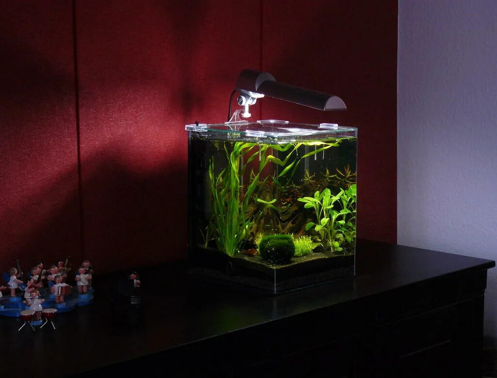 Nano cube. Dennerle 60 Nano Cube led крышка. Chihiros c251 Dennerle Nano Cube 20. Аквариум Dennerle 15л. Аквариум куб 15л.