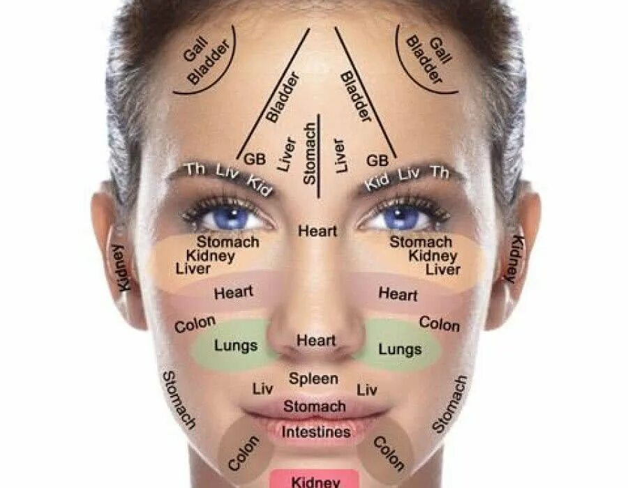 Зона лба. Точки акупунктуры на лице. Внутренние органы на лице. Зоны лица. Проекция органов на лице.