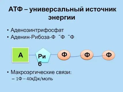 Примеры макроэргических связей