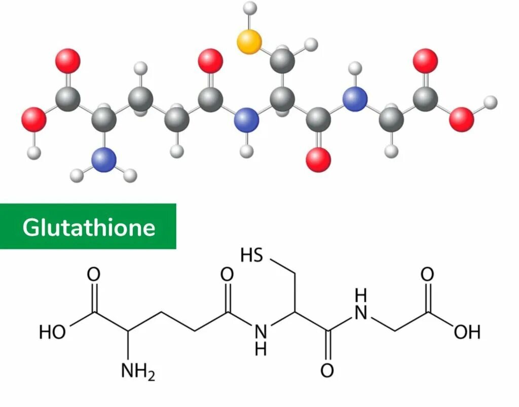 Глутатион химическое строение. Глутатион структурная формула. Глутатион формула биохимия. Глутатион формула пептида. Глутатион капельницы для чего