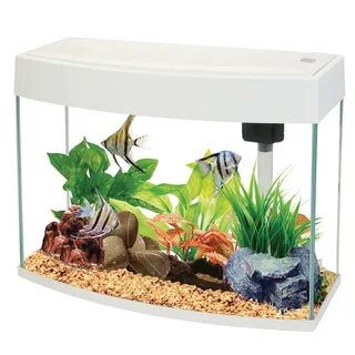 Aqua s отзывы