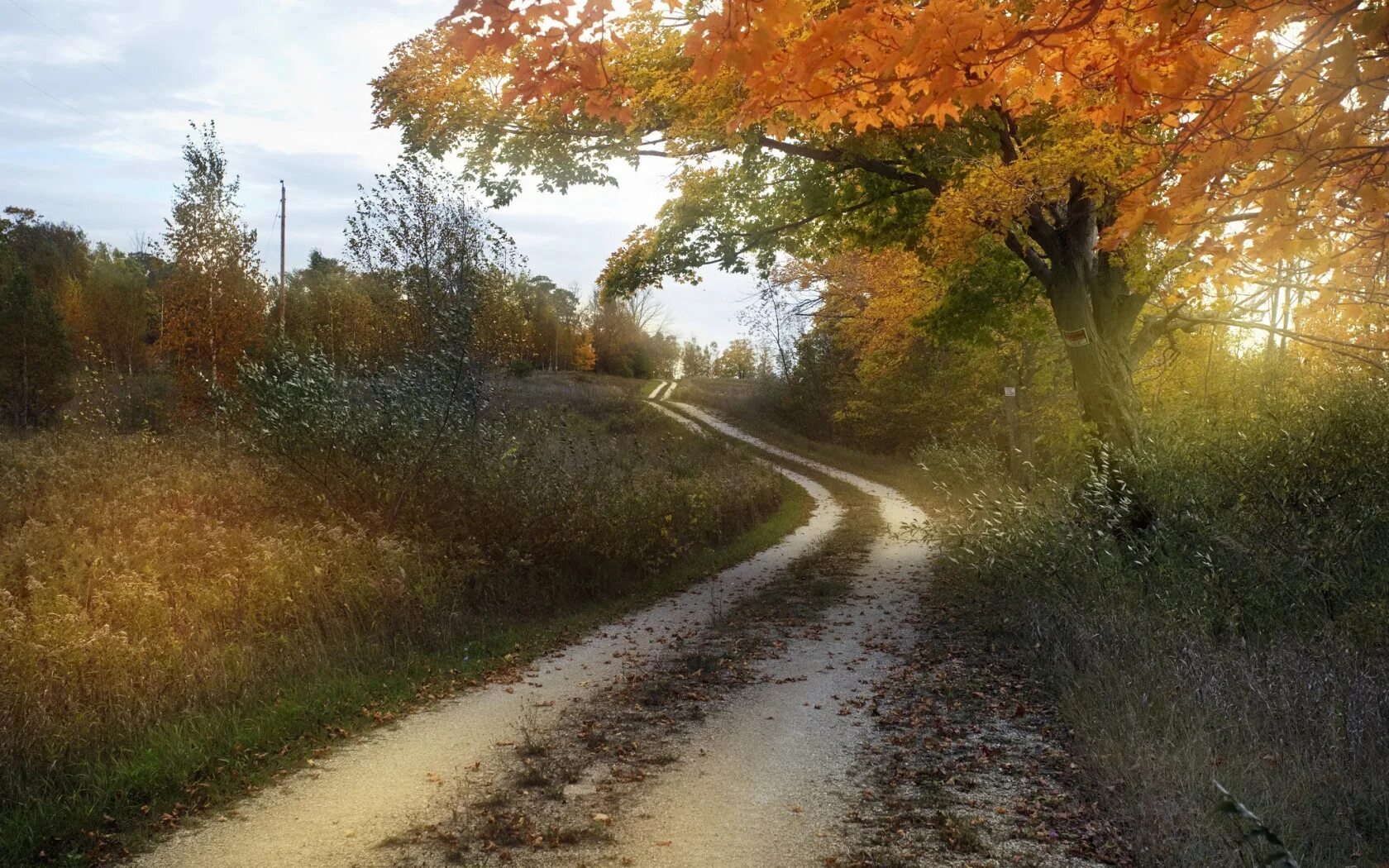 Круг по осенней дороге домой. Дорога в осень. Осенняя тропинка. Осенняя Проселочная дорога. Проселочнадорога, осень.