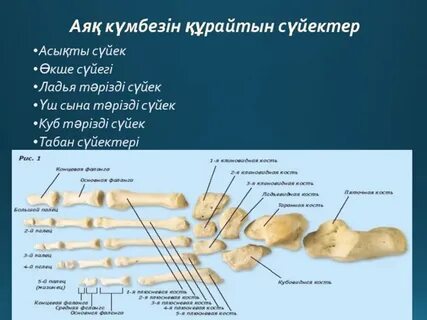 Өзбек порно секс фильм