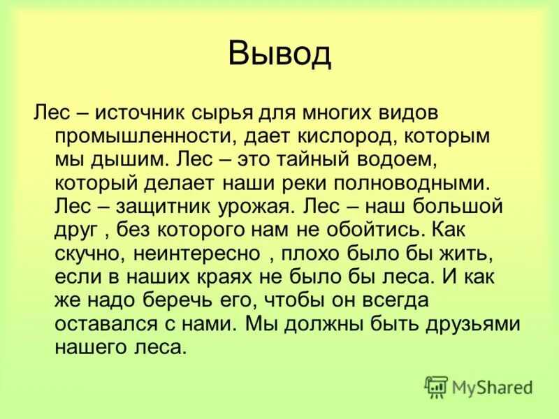 План как был в лесу летом