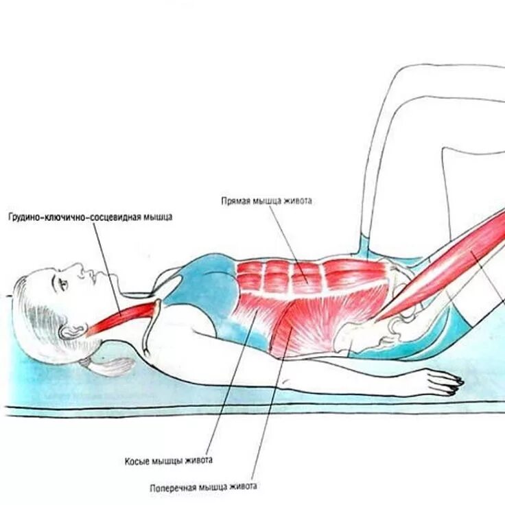 Статическое упражнение на мышцы живота и спины. Упражнения для мышц живота. Упражнения на прямую мышцу живота. Упражнения для укрепления прямых мышц живота. Прямая мышца живота упражнения.