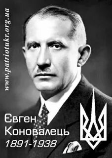 Коновалец википедия