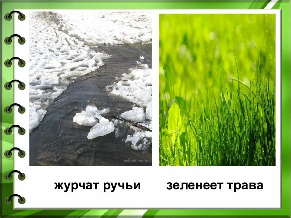 Журчит ручей какой. Весенние ручьи. весенние ручейки презентация. журчащий весенний ручей.