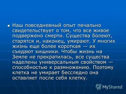 Повседневный опыт