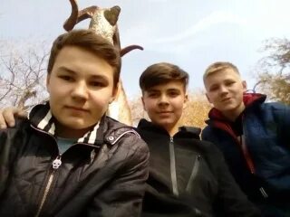 11 милей