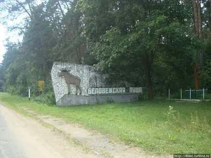 Погода в свислочи гродненской