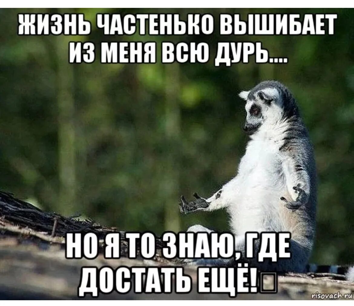 Жизнь частенько вышибает из меня всю дурь. Жизнь частенько вышибает из меня. Жизнь частенько. Жизнь выбивает из меня дурь но я знаю