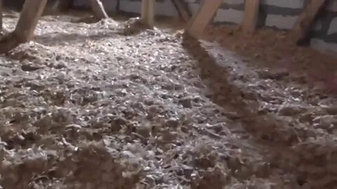 Опилка потолок утепление цемент