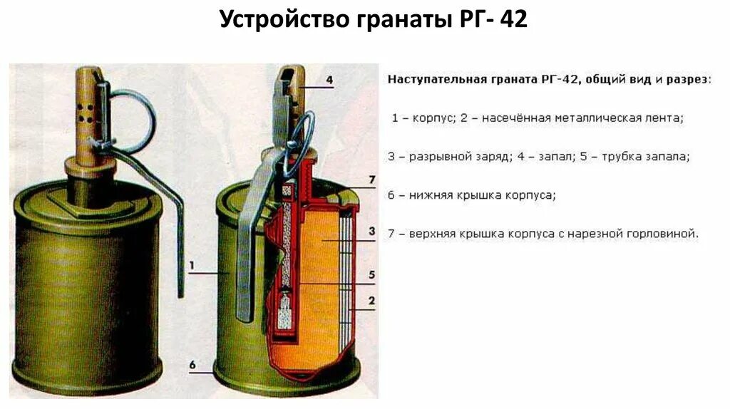 Ручные гранаты РГ 42. Ф1и рг42. Строение гранаты РГ 42. Устройство ручной осколочной гранаты РГ 42.