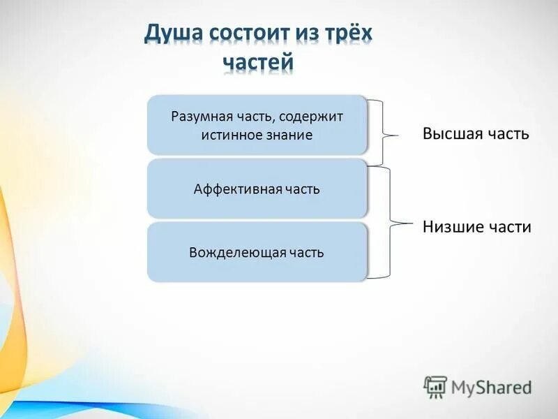 Разумная сторона человека примеры