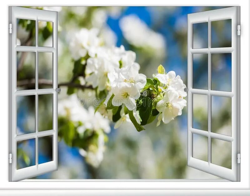 Tree window