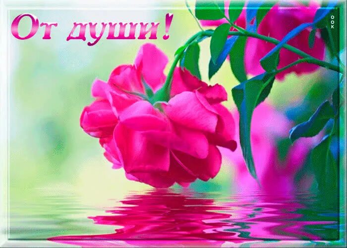 Красивые пожелания женщине просто так. Открытка "просто так". Открытка для тебя. Открытка от всей души. Открыточка от души.