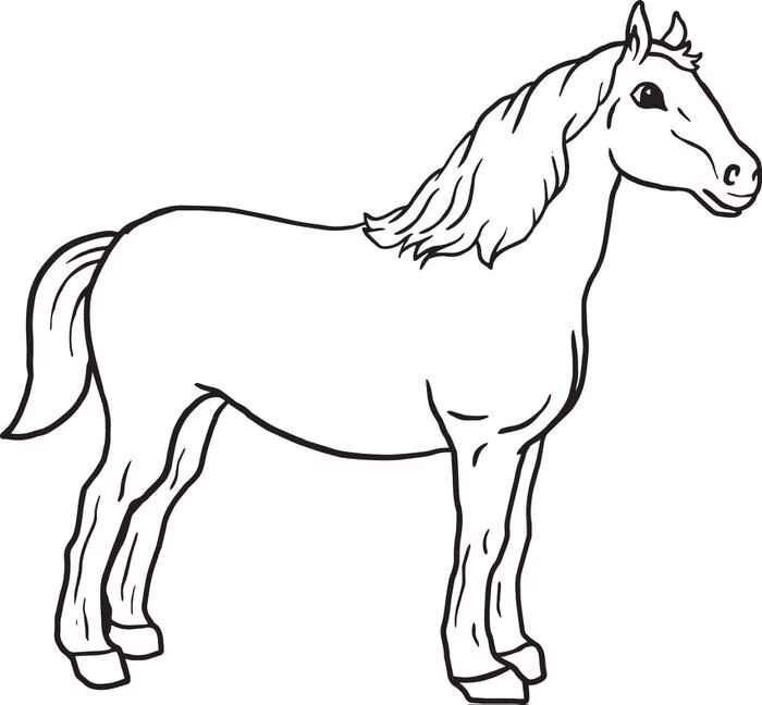 Лошадь раскраска для детей распечатать Pony Coloring Pages Best Coloring Pages For Kids Horse coloring, Horse colorin
