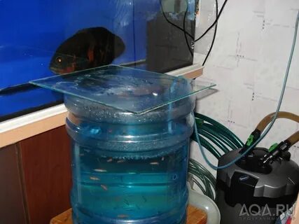 Можно ли в аквариум заливать воду