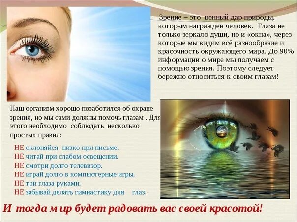 Радует глаз это. Зрение человека. глаза зрение.