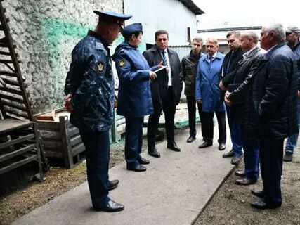 Уфсин амурской